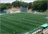 축구장 사진