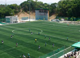 축구장 사진