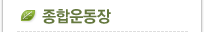 종합운동장