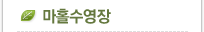 마홀수영장